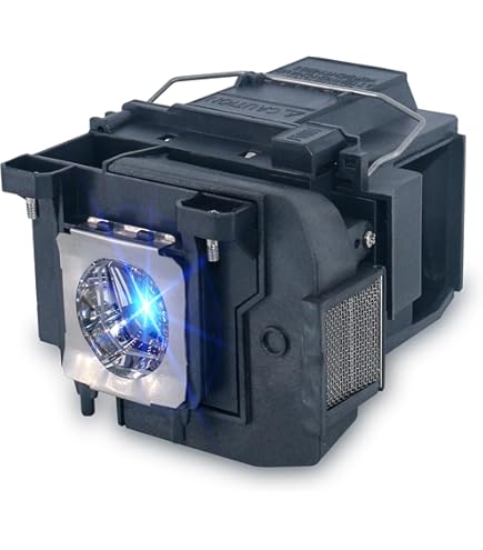 Amazon.com: InFocus Genuine Replacement Projector Lamp for IN24+